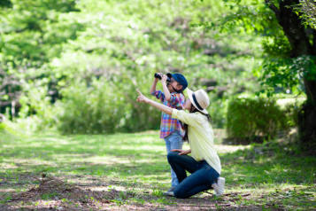 Bird Watching at the Kumarakom